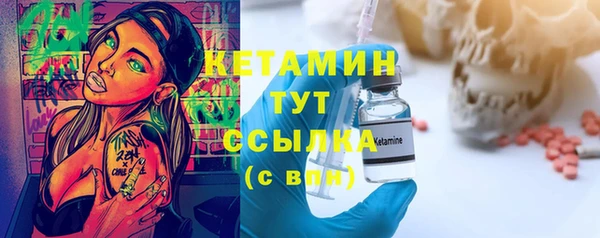 шишки Новозыбков
